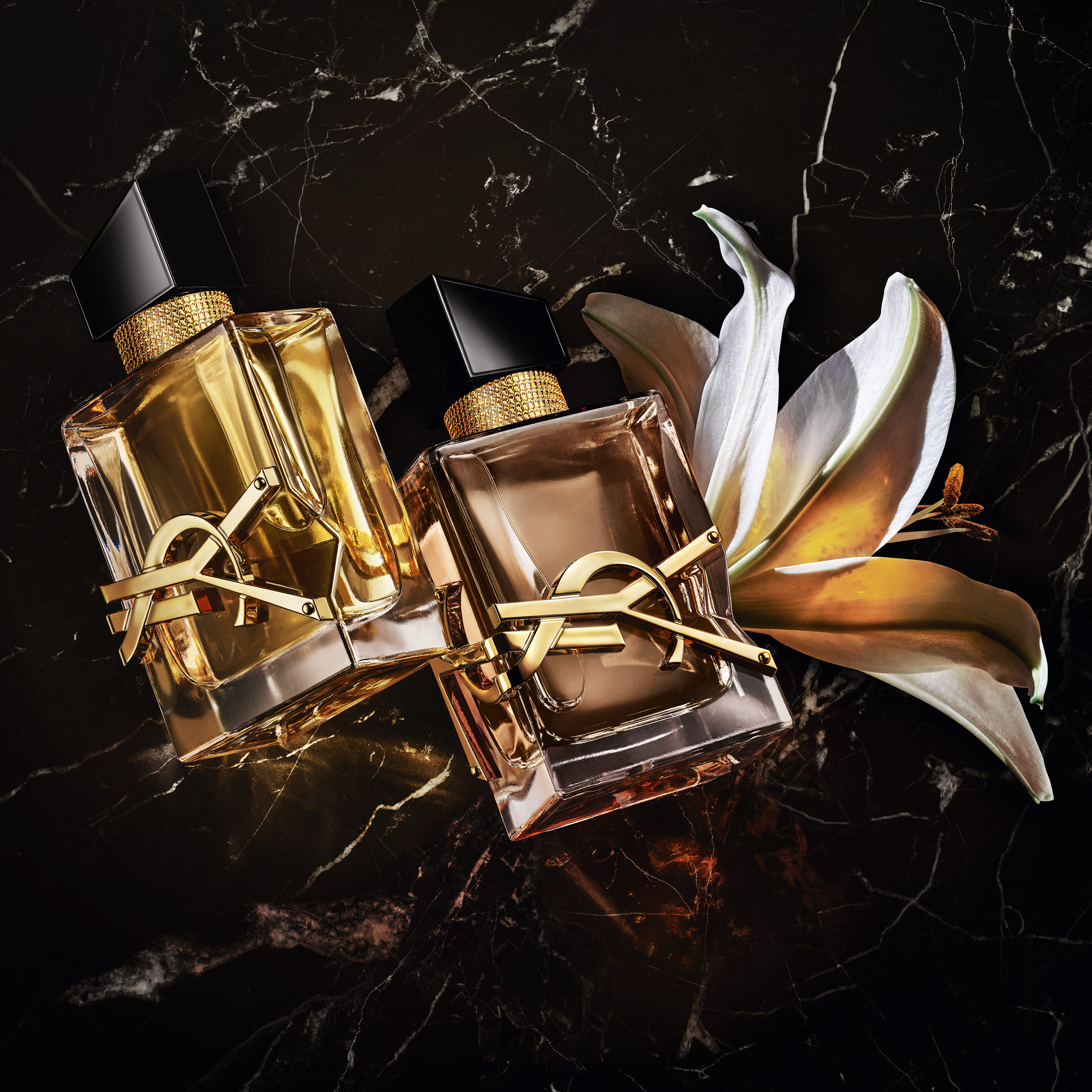 YSL Beauty Singapore Online Make Up Fragrance Skincare